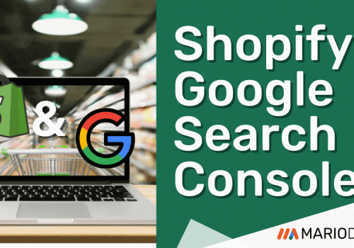 Shopify Google Search Console