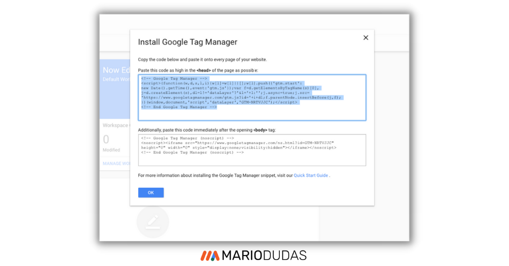 Install Google Tag Manager Shopify
